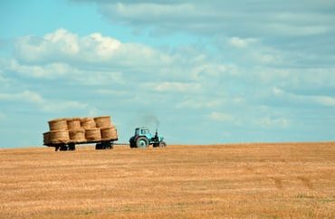 farmer in the field