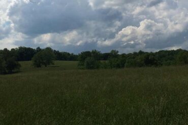 farmland and blue sky